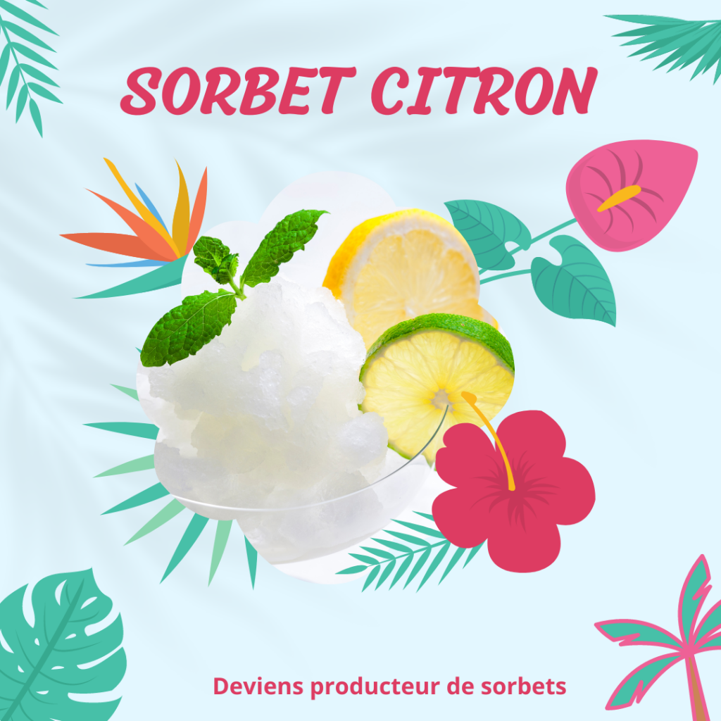 la fabrication de glace et de sorbet à la ferme et une alternative pour aider les agriculteur à mieux vivre de leur metier